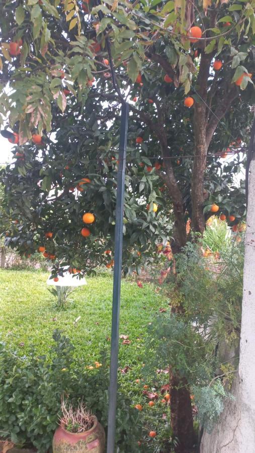 Casa Dos Gansos Villa Perais Dış mekan fotoğraf