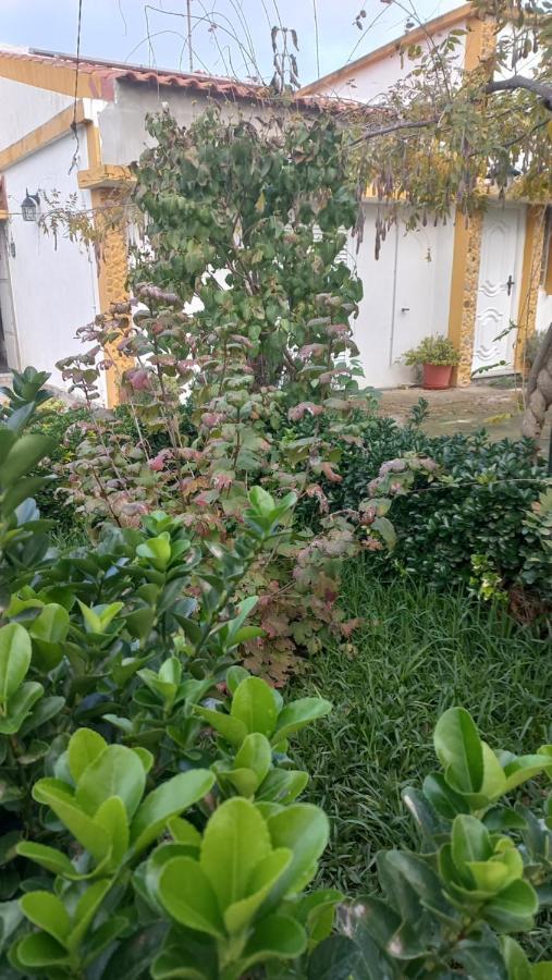 Casa Dos Gansos Villa Perais Dış mekan fotoğraf